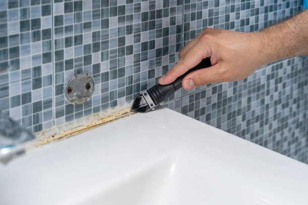 Trusted Hampton, IL Mold Remediation Experts
